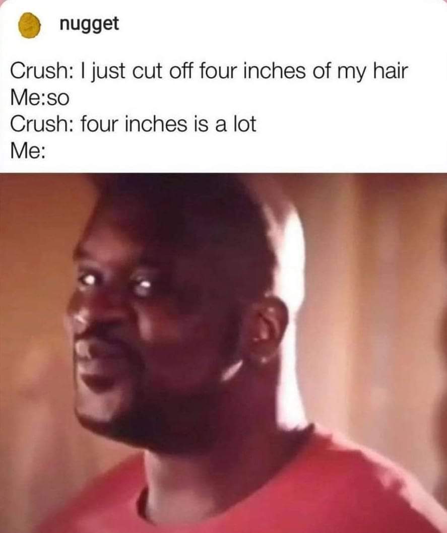 shaquille o neal birthday meme - nugget Crush I just cut off four inches of my hair Meso Crush four inches is a lot Me