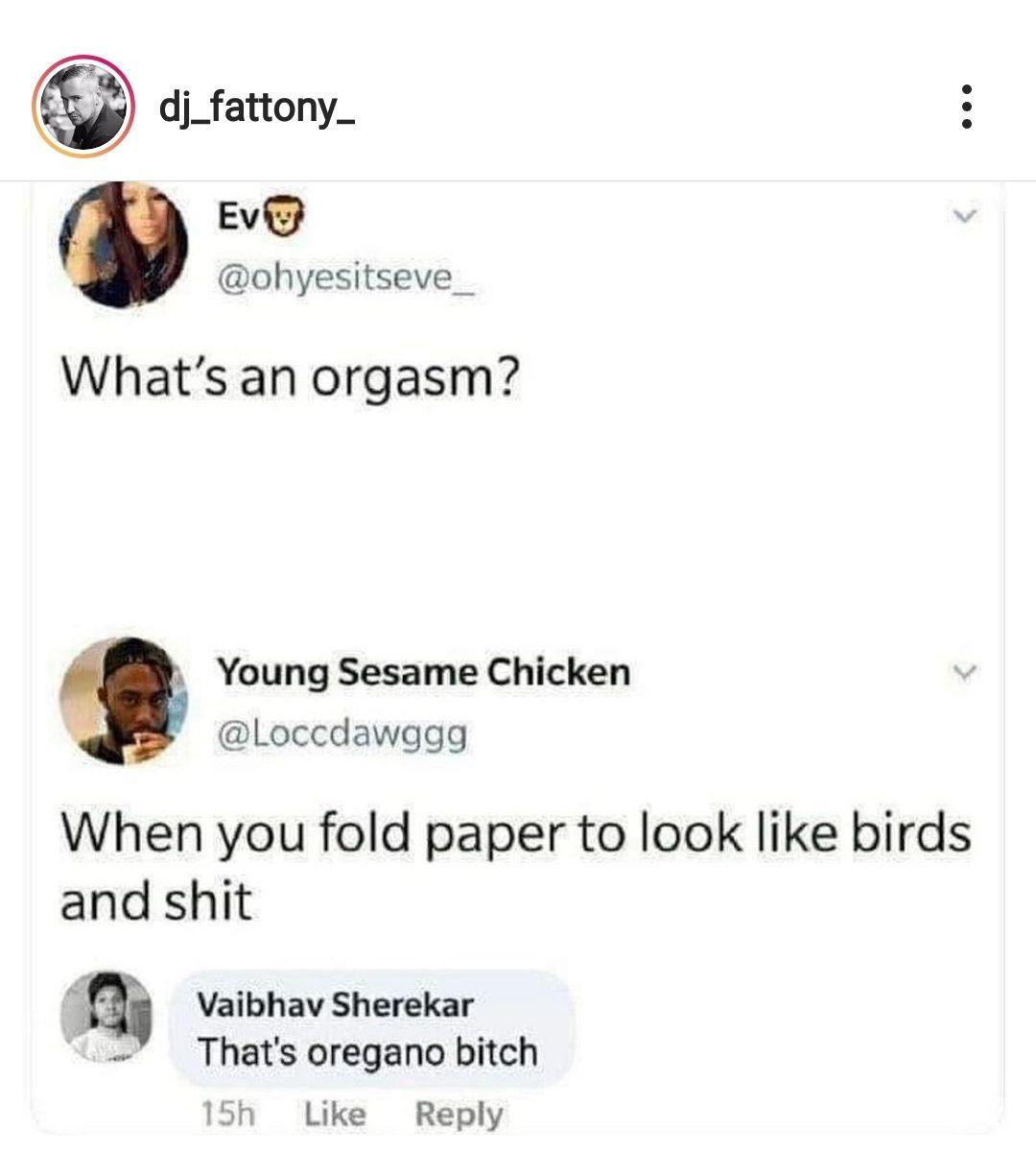 orgasm origami oregano meme - dj_fattony Evo What's an orgasm? Young Sesame Chicken When you fold paper to look birds and shit Vaibhav Sherekar That's oregano bitch 15h