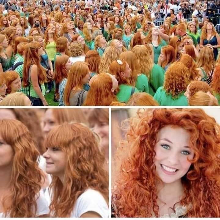 redhead festival in dublin ireland