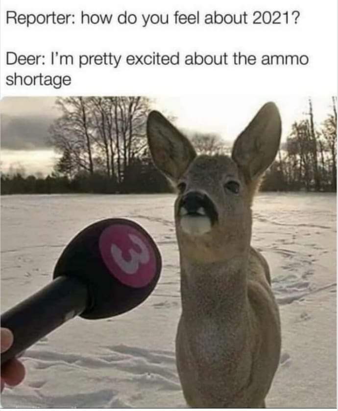 deer being interviewed - Reporter how do you feel about 2021? Deer I'm pretty excited about the ammo shortage 3