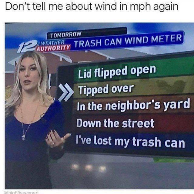 system down again meme - Don't tell me about wind in mph again Tomorrow Authority Trash Can Wind Meter Lid flipped open >> Tipped over In the neighbor's yard Down the street I've lost my trash can