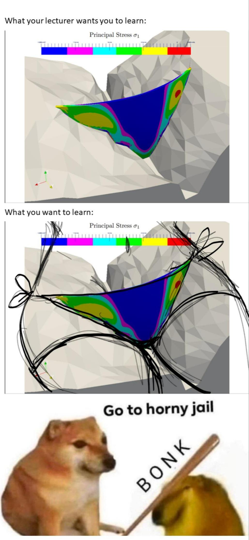 face recognition meme horny - What your lecturer wants you to learn What you want to learn Go to horny jail Bonk