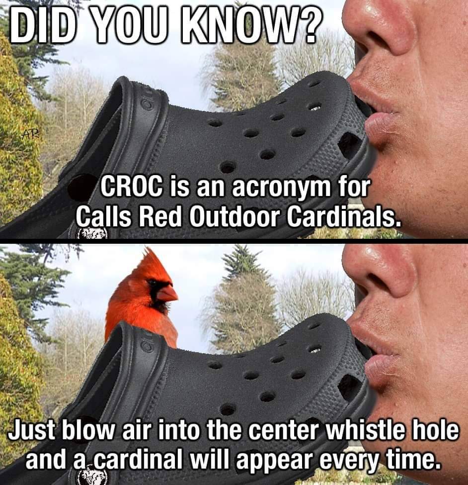 photo caption - Did You Know? Croc is an acronym for Calls Red Outdoor Cardinals. Just blow air into the center whistle hole and a cardinal will appear every time.