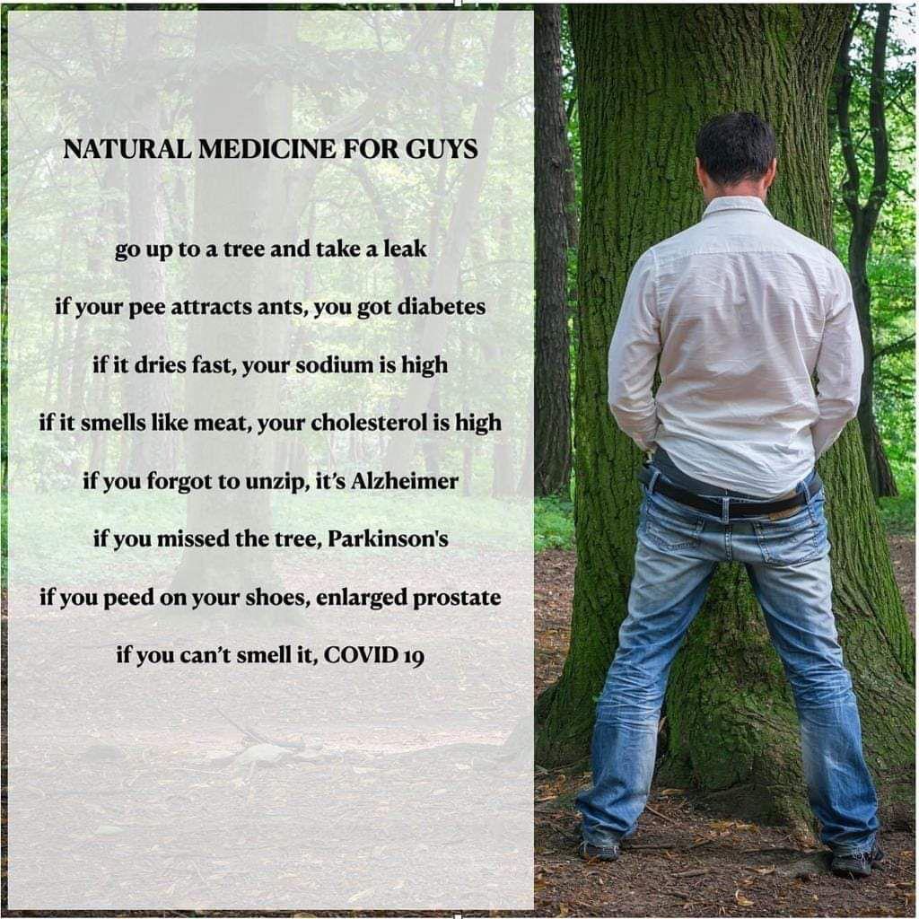 Medicine - Natural Medicine For Guys go up to a tree and take a leak if your pee attracts ants, you got diabetes if it dries fast, your sodium is high if it smells meat, your cholesterol is high if you forgot to unzip, it's Alzheimer if you missed the tre