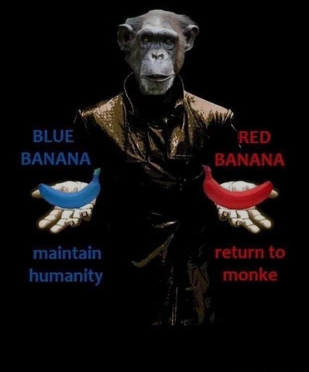 return to monke - Blue Banana Red Banana maintain humanity return to monke