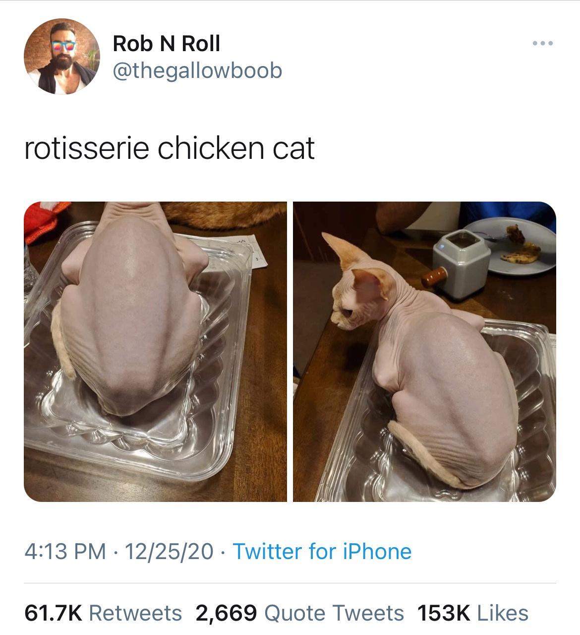 rotisserie chicken cat - Rob N Roll rotisserie chicken cat 122520 Twitter for iPhone 2,669 Quote Tweets