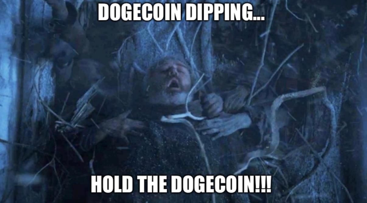 hodl hodor meme - Dogecoin Dipping... Hold The Dogecoin!!!