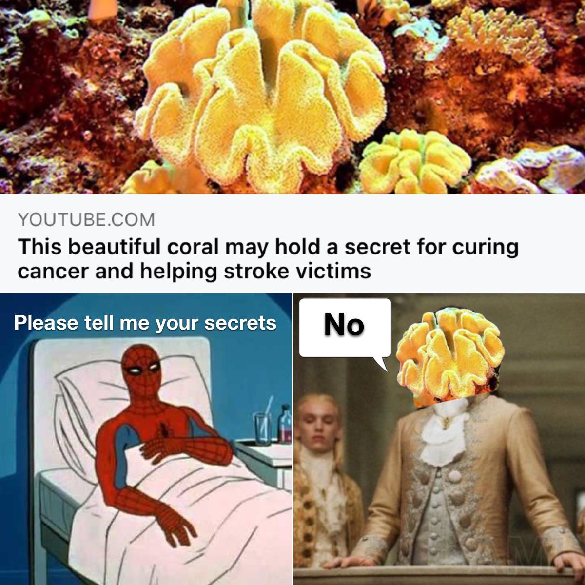 spiderman cancer template - Youtube.Com This beautiful coral may hold a secret for curing cancer and helping stroke victims Please tell me your secrets No