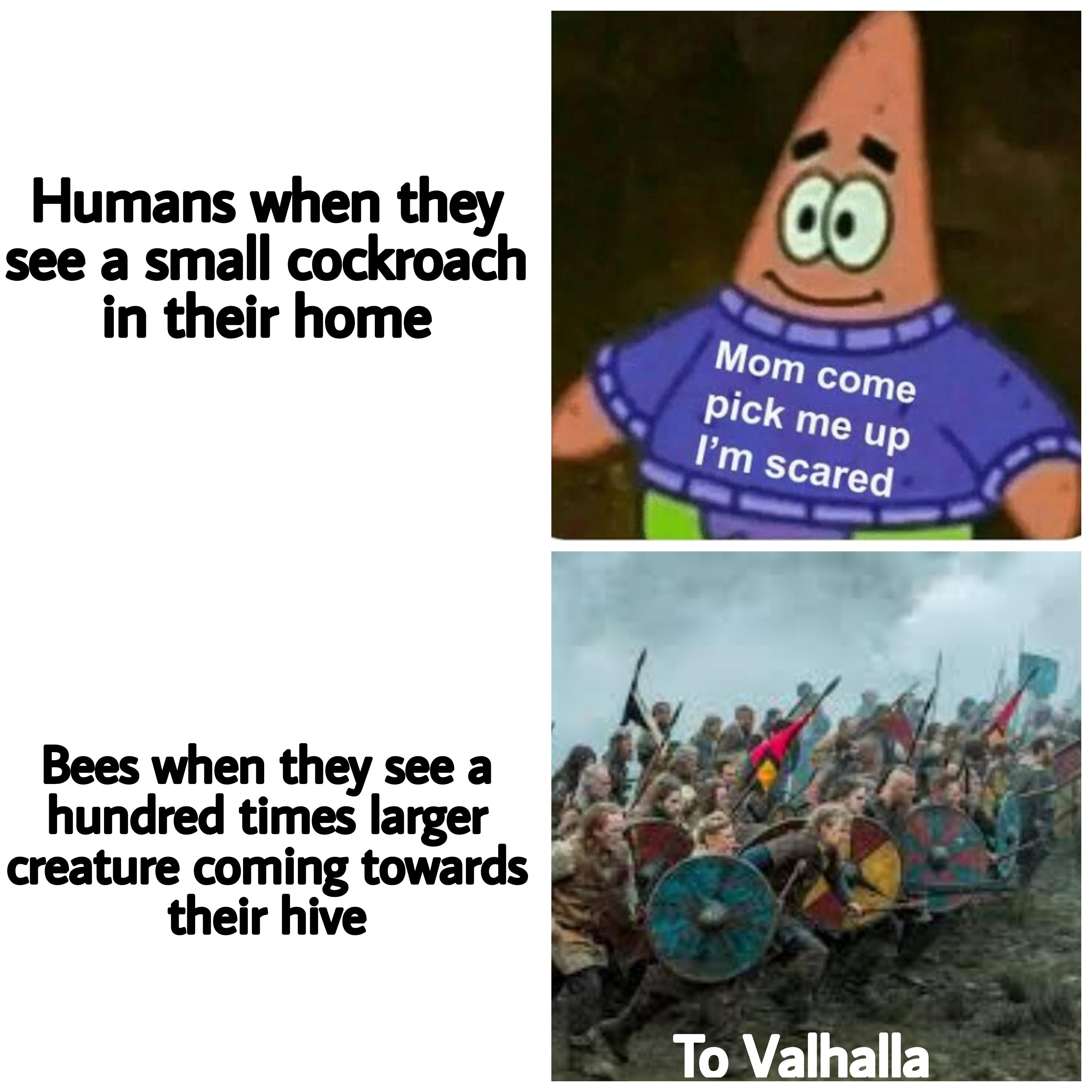 cartoon - Humans when they see a small cockroach in their home Co Mom come pick me up I'm scared Bees when they see a hundred times larger creature coming towards their hive To Valhalla