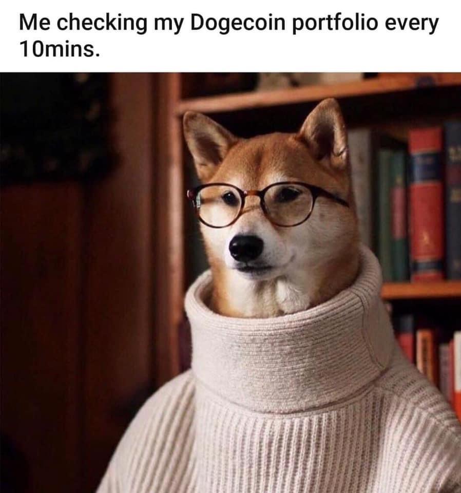 Dog - Me checking my Dogecoin portfolio every 10mins.