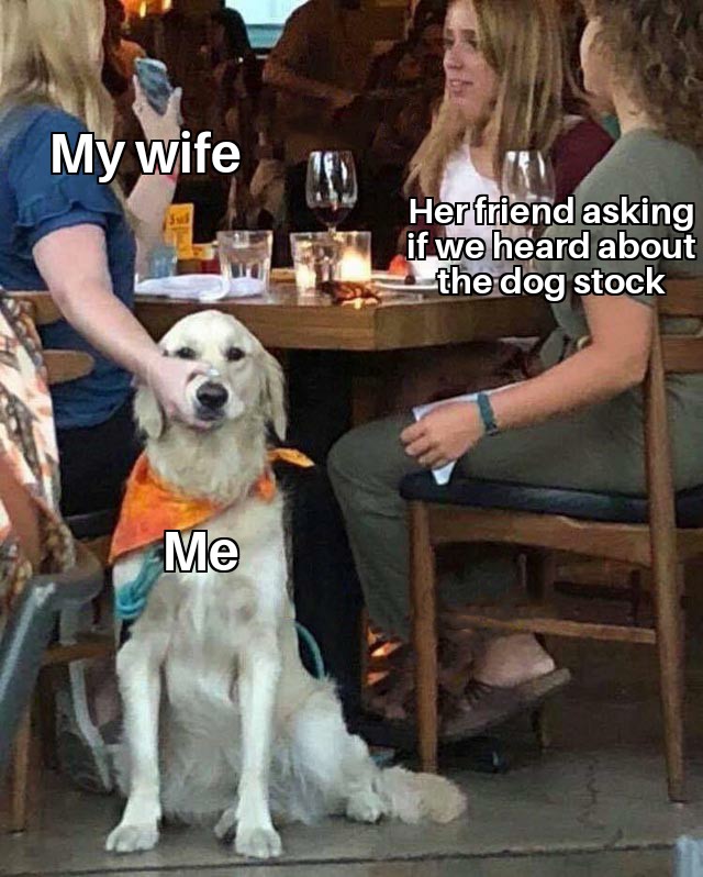 funny memes and random pics - holding dog mouth meme - My wife Her friend asking if we heard about the dog stock Me