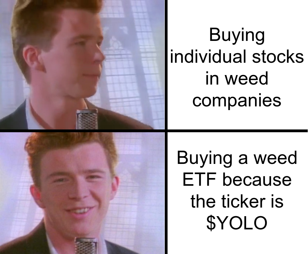 head - Buying individual stocks in weed companies Buying a weed Etf because the ticker is $Yolo