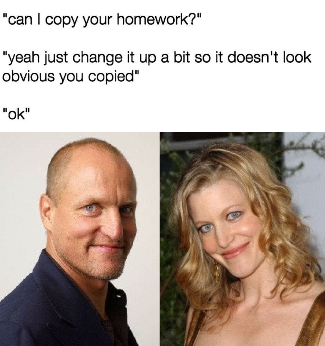 funny memes and pics - anna gunn and woody harrelson - "can I copy your homework?" "yeah just change it up a bit so it doesn't look obvious you copied" "ok"
