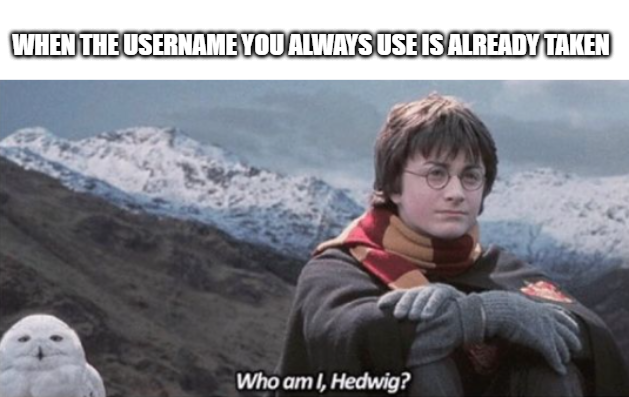 funny memes and pics - existential questions meme - When The Username You Always Use Is Already Taken Who am I, Hedwig?