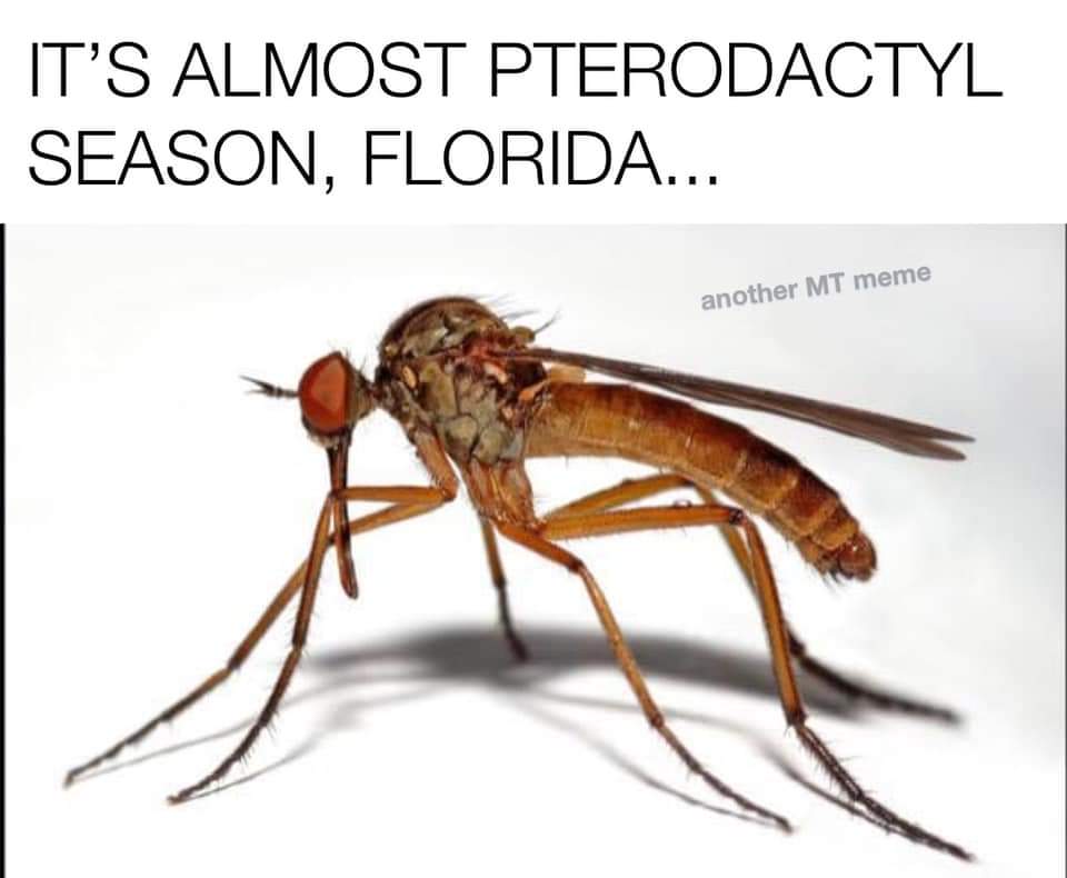 funny memes and pics - mosquito sound - It'S Almost Pterodactyl Season, Florida... another Mt meme
