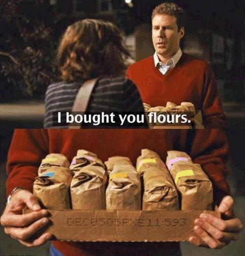funny pictures - will ferrell i brought you flours - I bought you flours. DECE505XET 593
