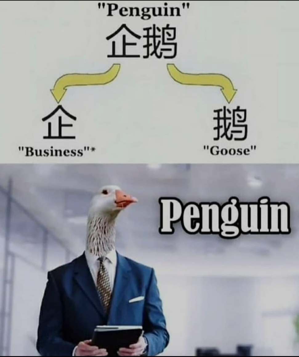 funny pictures - penguin business goose - "Penguin" "Business" ; "Goose" Penguin