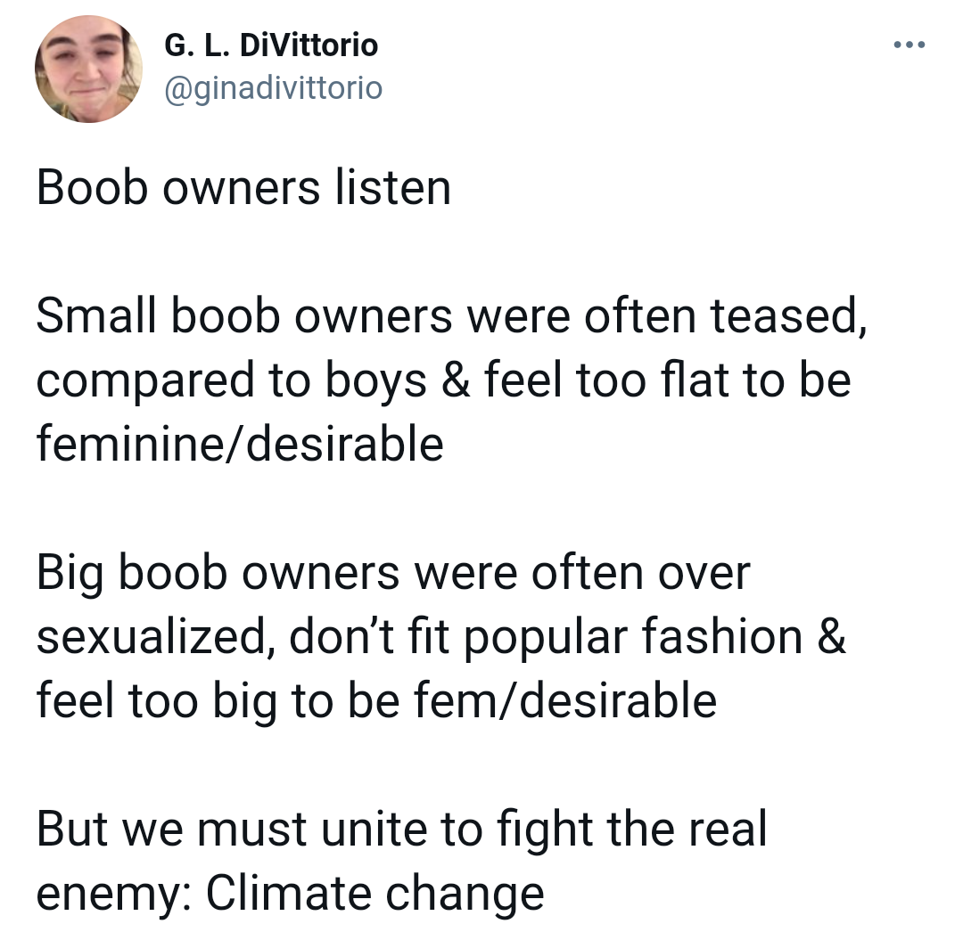 funny memes - angle - G. L. DiVittorio Boob owners listen Small boob owners were often teased, compared to boys & feel too flat to be femininedesirable Big boob owners were often over sexualized, don't fit popular fashion & feel too big to be femdesirable