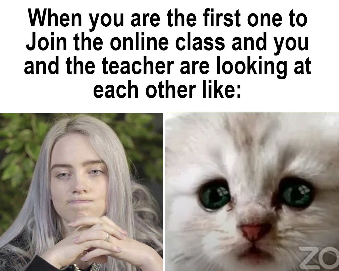 funny memes - photo caption - When you are the first one to Join the online class and you and the teacher are looking at each other Zo
