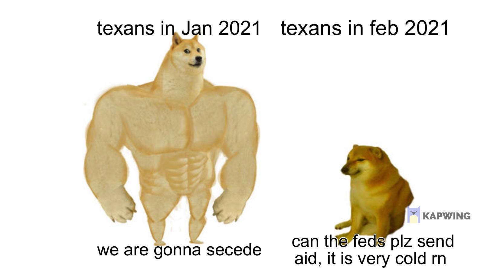 potato memes - texans in texans in Kapwing we are gonna secede can the feds plz send aid, it is very cold rn