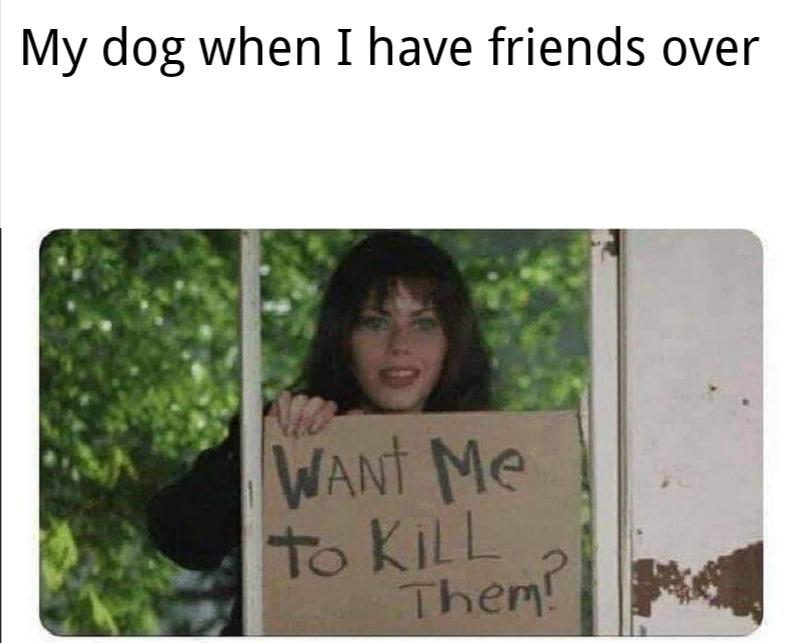 Internet meme - My dog when I have friends over Want Me to KiLL Them?