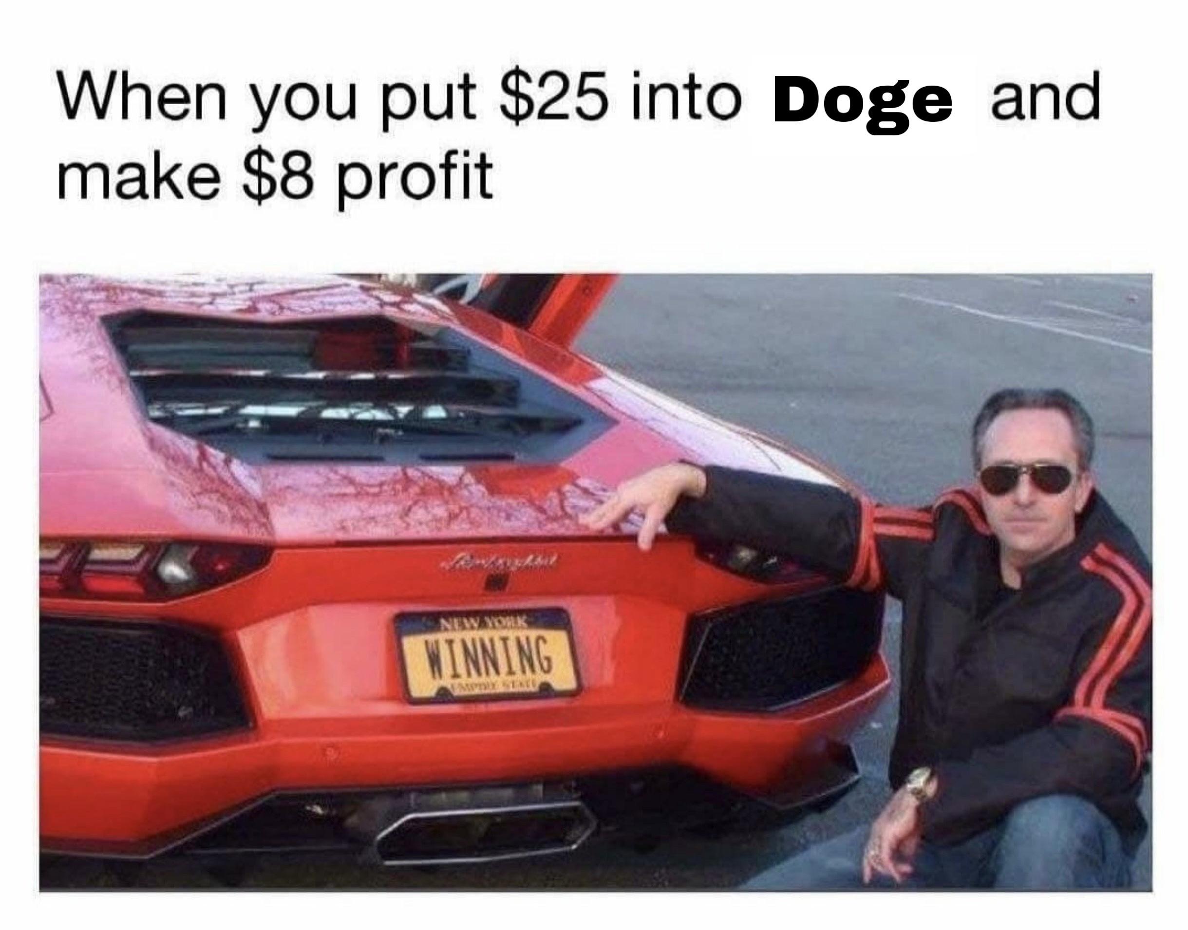 bitcoin profit meme - When you put $25 into Doge and make $8 profit Newyk Winning