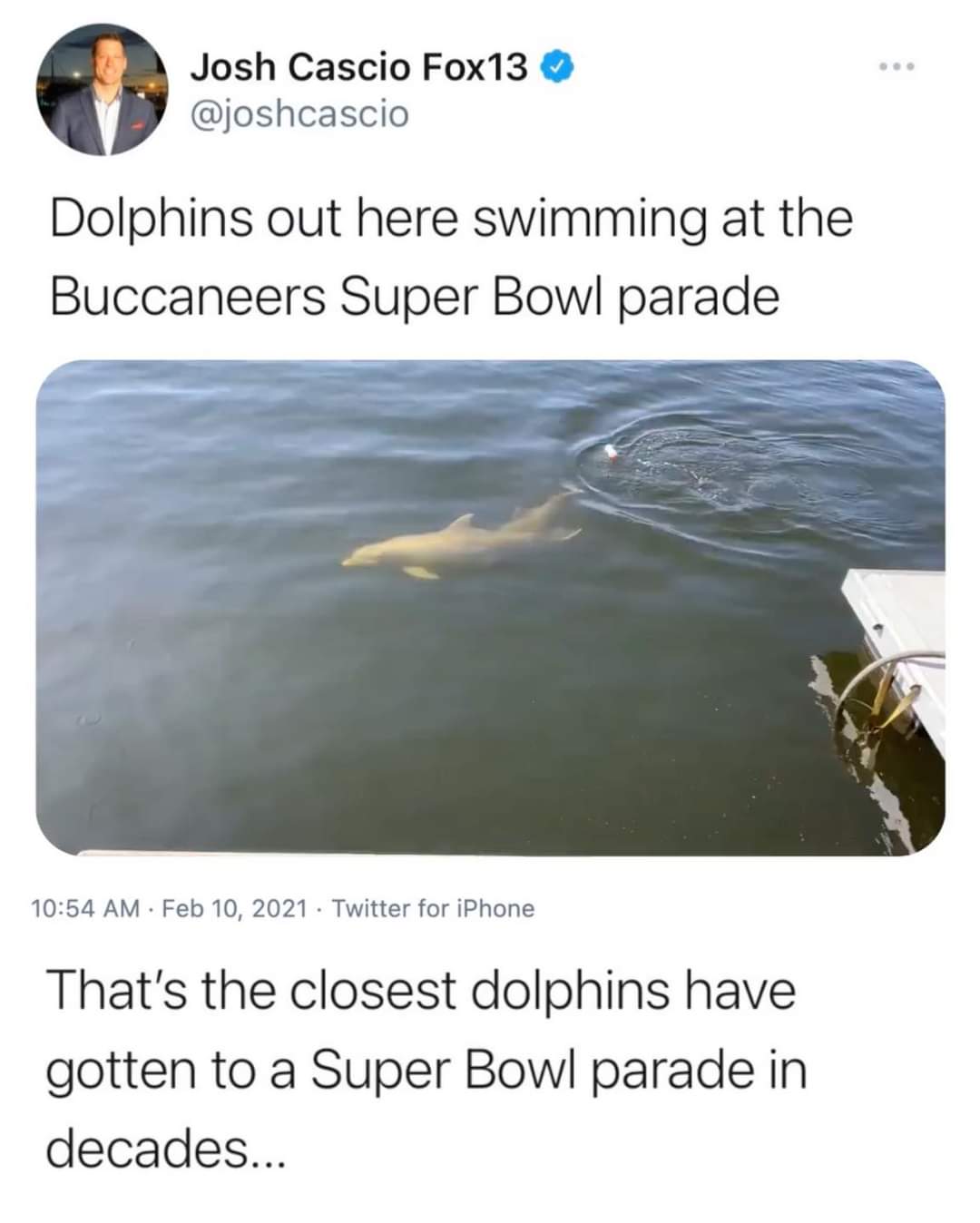 water resources - So Josh Cascio Fox13 Dolphins out here swimming at the Buccaneers Super Bowl parade . Twitter for iPhone That's the closest dolphins have gotten to a Super Bowl parade in decades...
