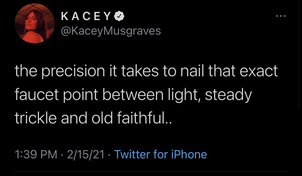 screenshot - Kacey the precision it takes to nail that exact faucet point between light, steady trickle and old faithful.. 21521 Twitter for iPhone