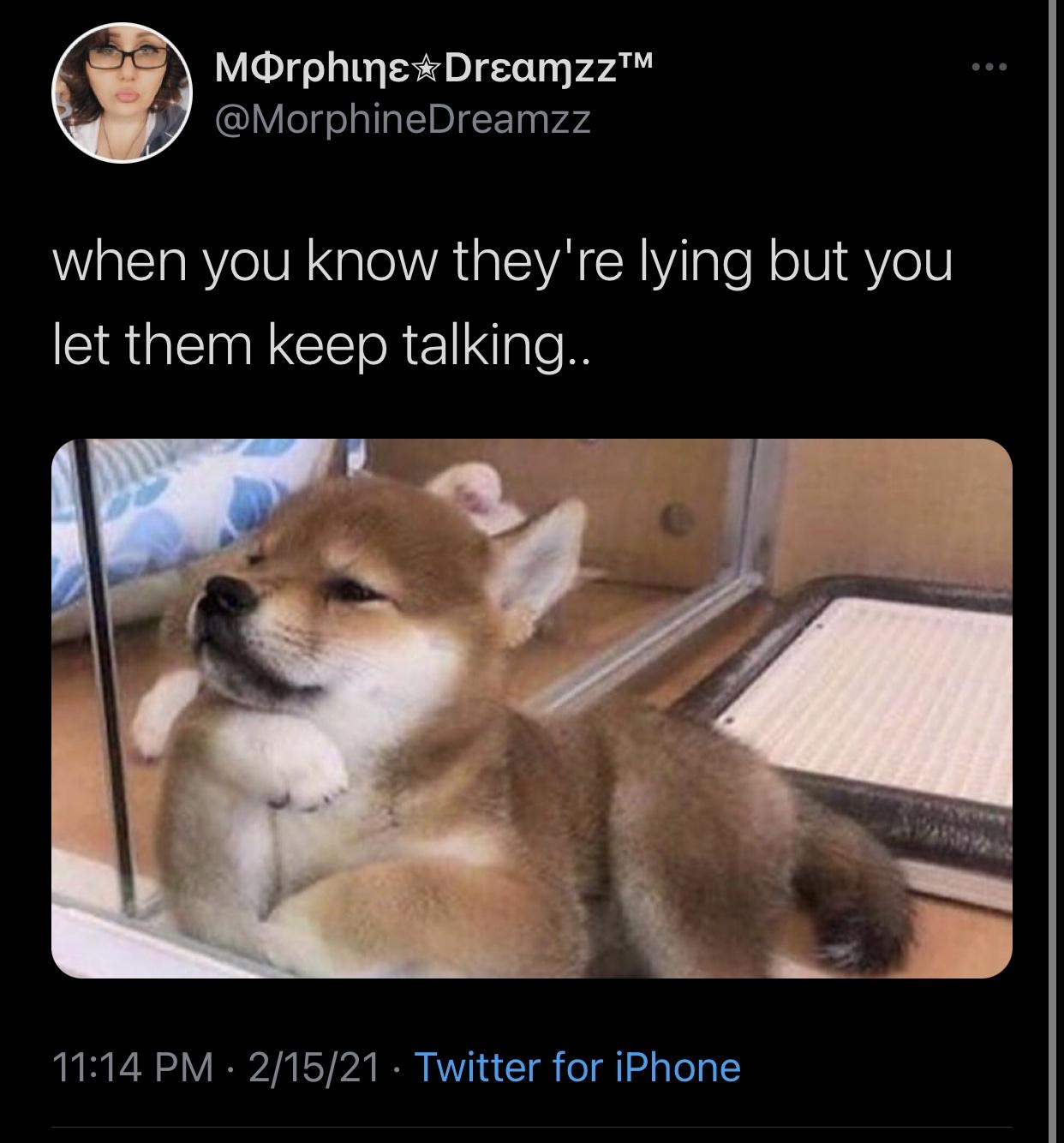 derpy shiba inu - Tm Morphine Dreamzz when you know they're lying but you let them keep talking.. 21521 Twitter for iPhone