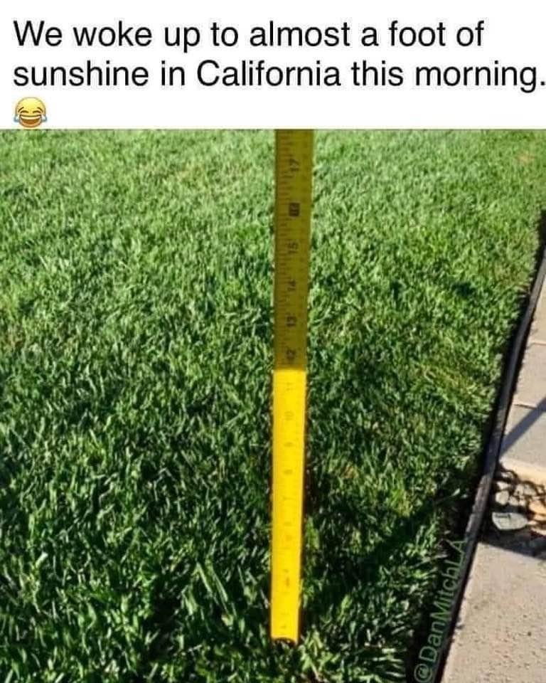 grass - We woke up to almost a foot of sunshine in California this morning. Mitch