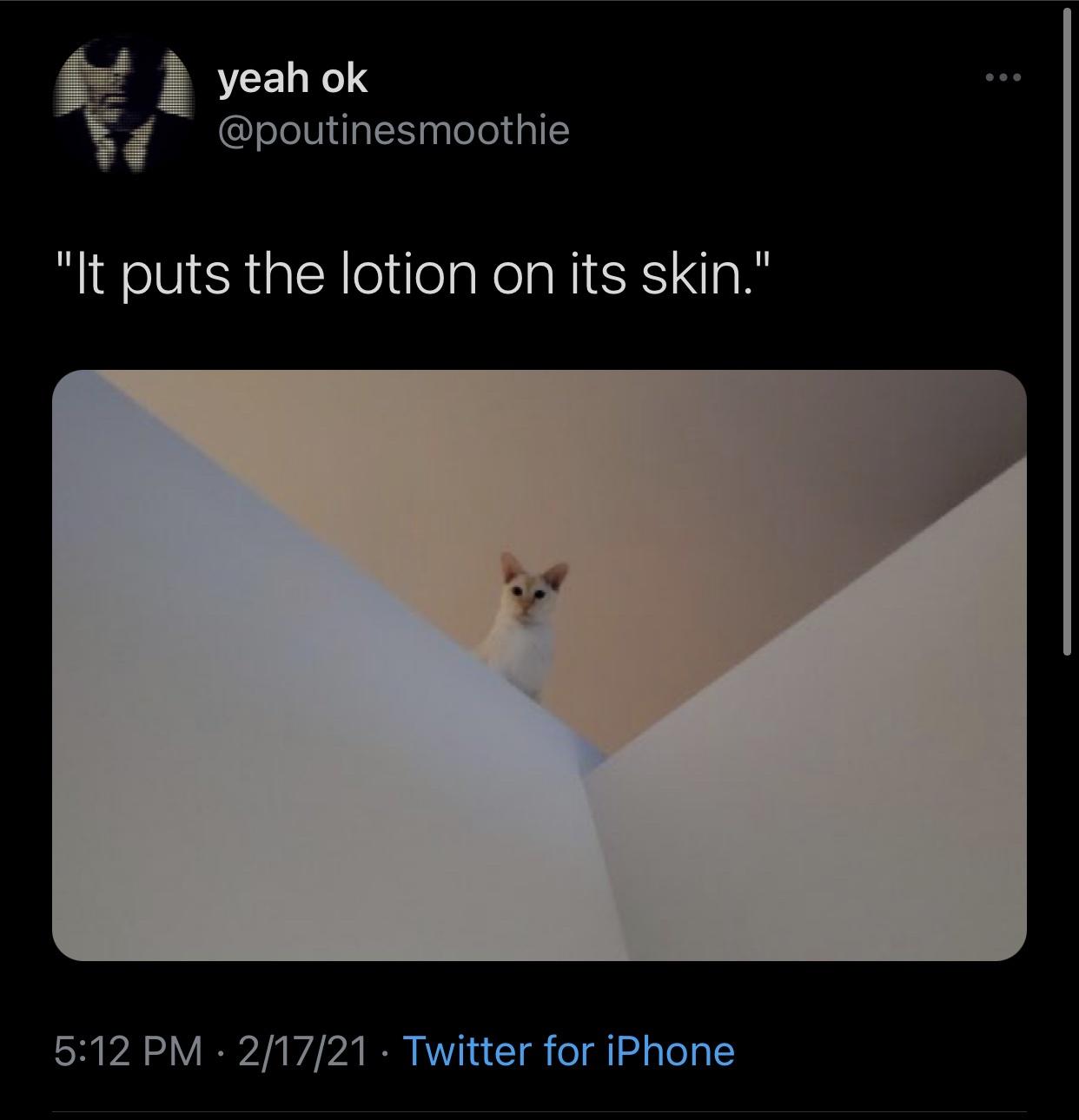 angle - yeah ok. "It puts the lotion on its skin." 21721 Twitter for iPhone