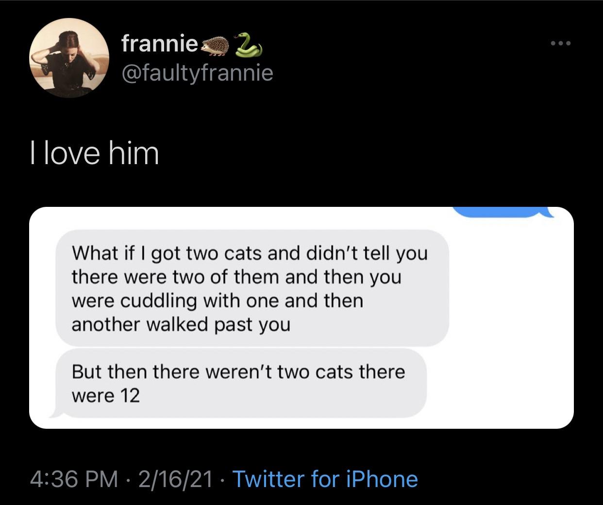multimedia - frannie. I love him What if I got two cats and didn't tell you there were two of them and then you were cuddling with one and then another walked past you But then there weren't two cats there were 12 21621 Twitter for iPhone