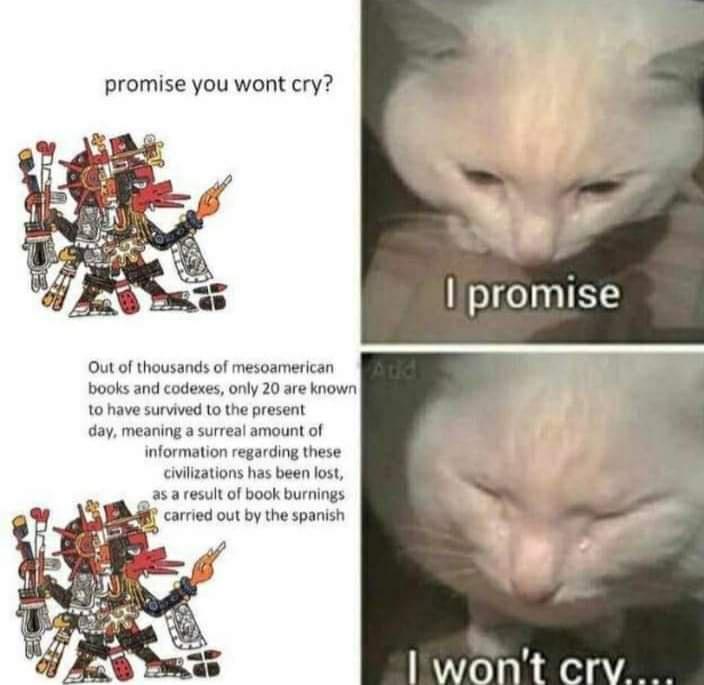 promise i wont cry meme - promise you wont cry? I promise Out of thousands of mesoamerican books and codexes, only 20 are known to have survived to the present day, meaning a surreal amount of information regarding these civilizations has been lost, as a 