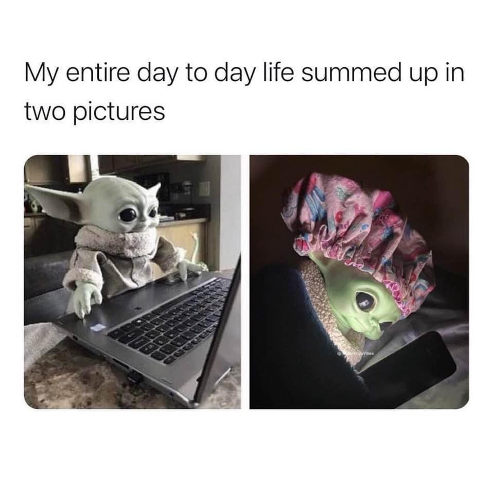 photo caption - My entire day to day life summed up in two pictures