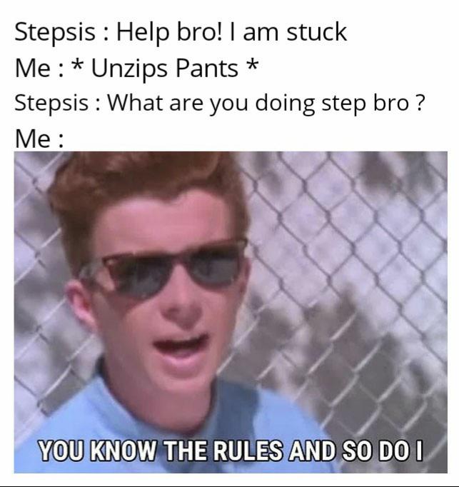 minecraft iron golem memes - Stepsis Help bro! I am stuck Me Unzips Pants Stepsis What are you doing step bro? Me You Know The Rules And So Do I