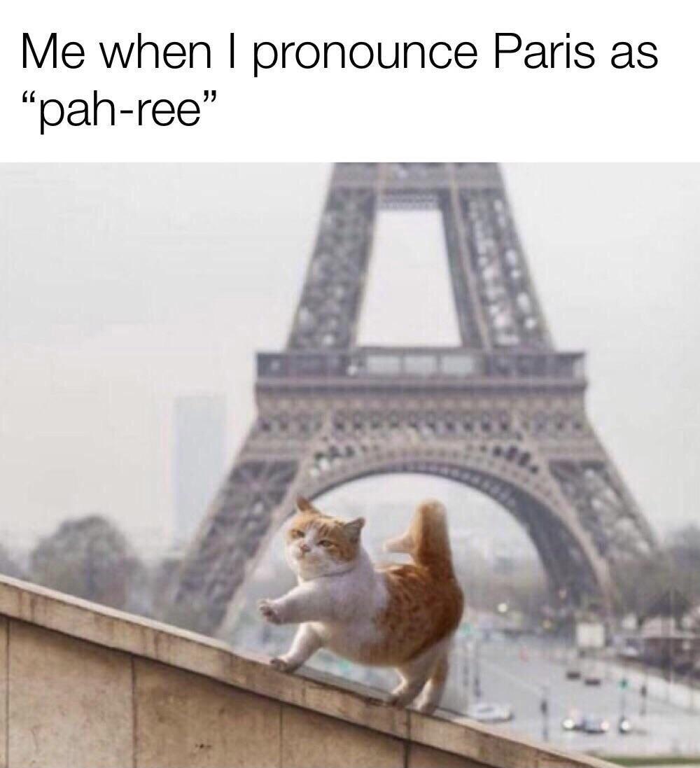 eiffel tower - Me when I pronounce Paris as "pahree"