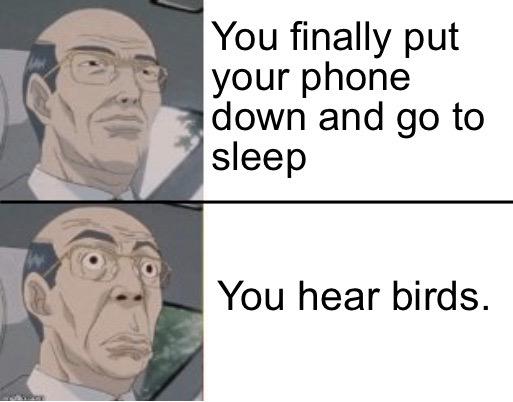 head - You finally put your phone down and go to sleep You hear birds.