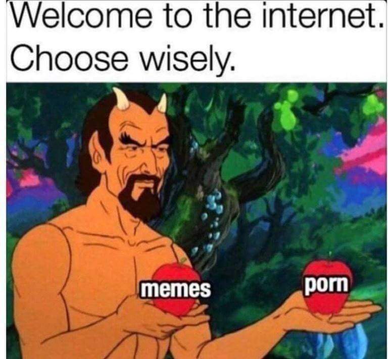 welcome to the internet choose wisely - Welcome to the internet. Choose wisely. memes porn