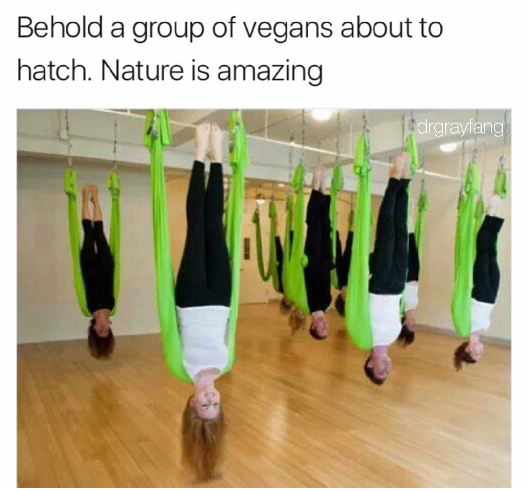 vegan hatching - Behold a group of vegans about to hatch. Nature is amazing drgrayang
