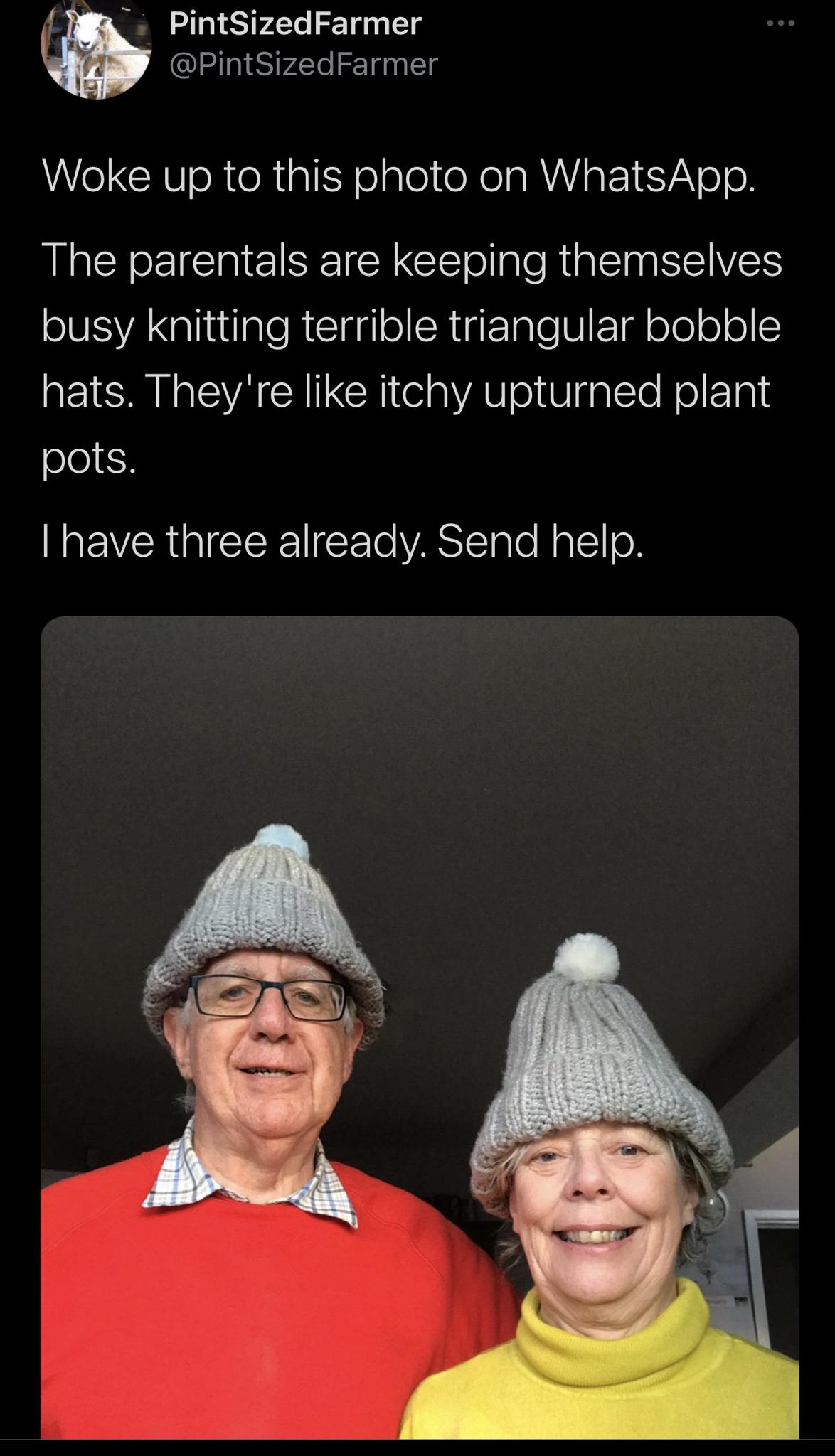 photo caption - PintSizedFarmer Woke up to this photo on WhatsApp. The parentals are keeping themselves busy knitting terrible triangular bobble hats. They're itchy upturned plant pots. Thave three already. Send help.