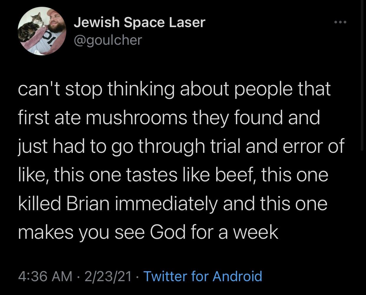 screenshot - Jewish Space Laser can't stop thinking about people that first ate mushrooms they found and just had to go through trial and error of , this one tastes beef, this one killed Brian immediately and this one makes you see God for a week 22321 Tw