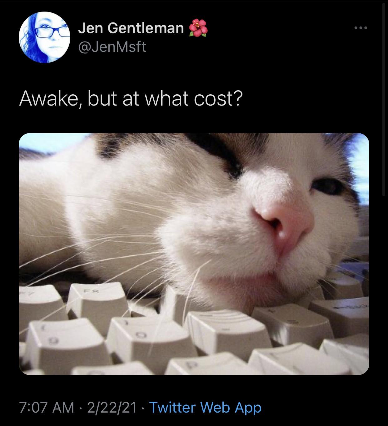 cat on keyboard - Jen Gentleman Awake, but at what cost? 22221 Twitter Web App