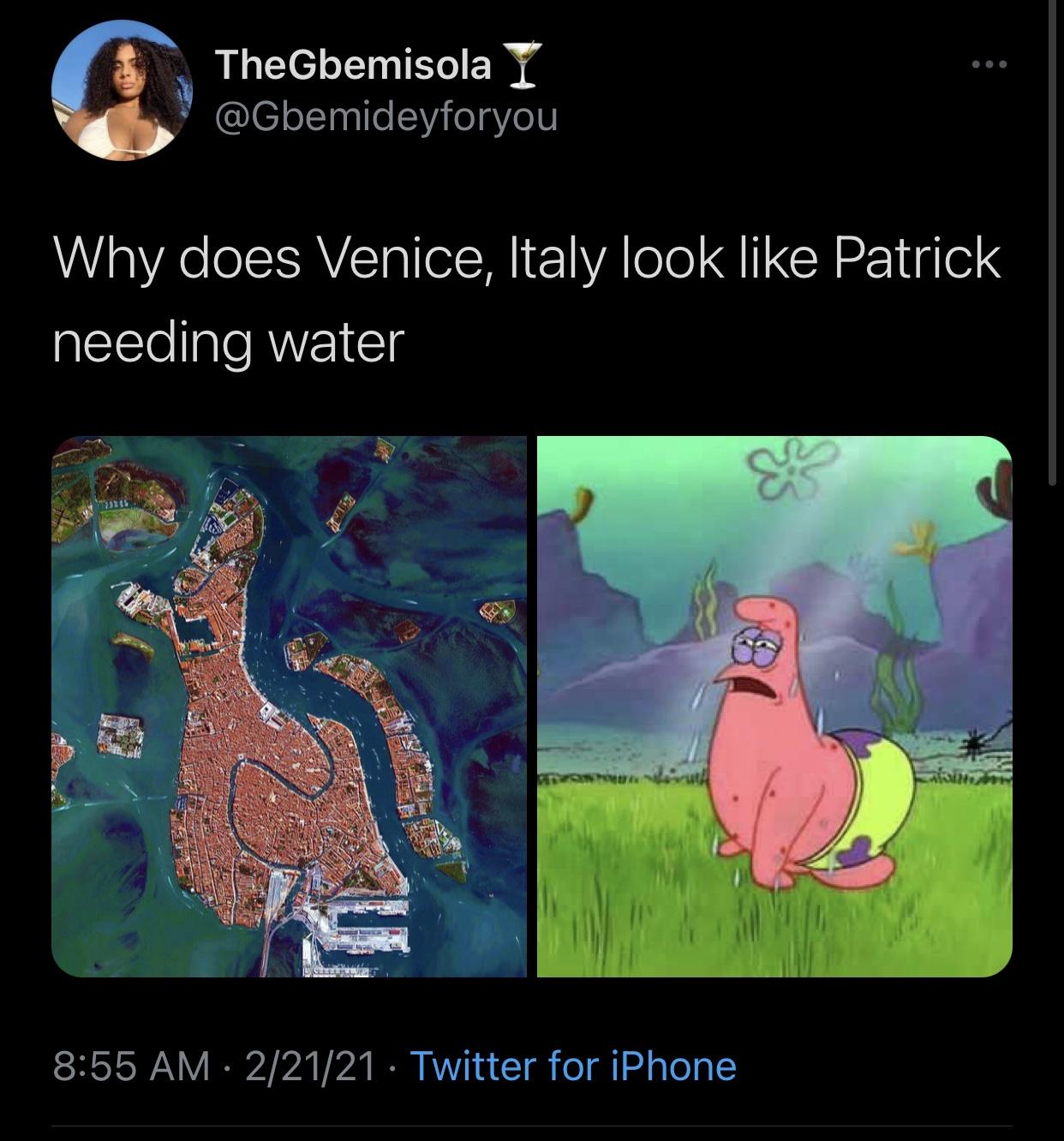 funny spongebob memes - TheGbemisola I Why does Venice, Italy look Patrick needing water 22121 Twitter for iPhone