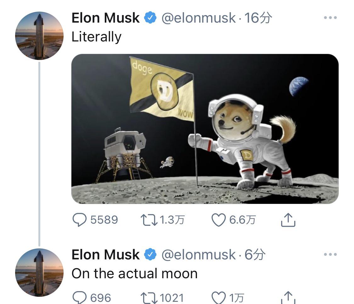 doge moon - Elon Musk 165 Literally doge Wow 5589 11.3 6.675 Elon Musk . 64 On the actual moon 696 121021 175