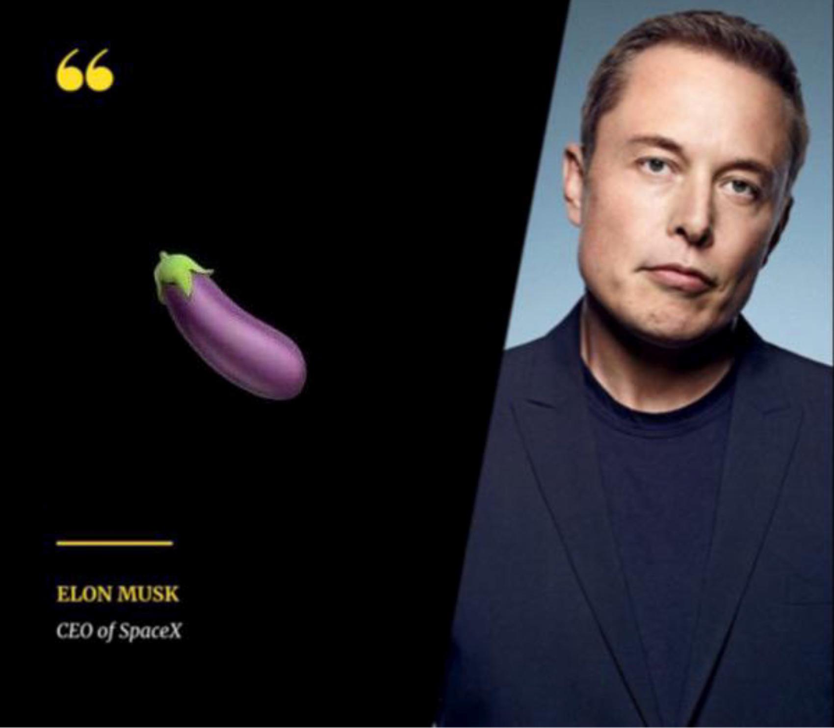 66 Elon Musk Ceo of SpaceX