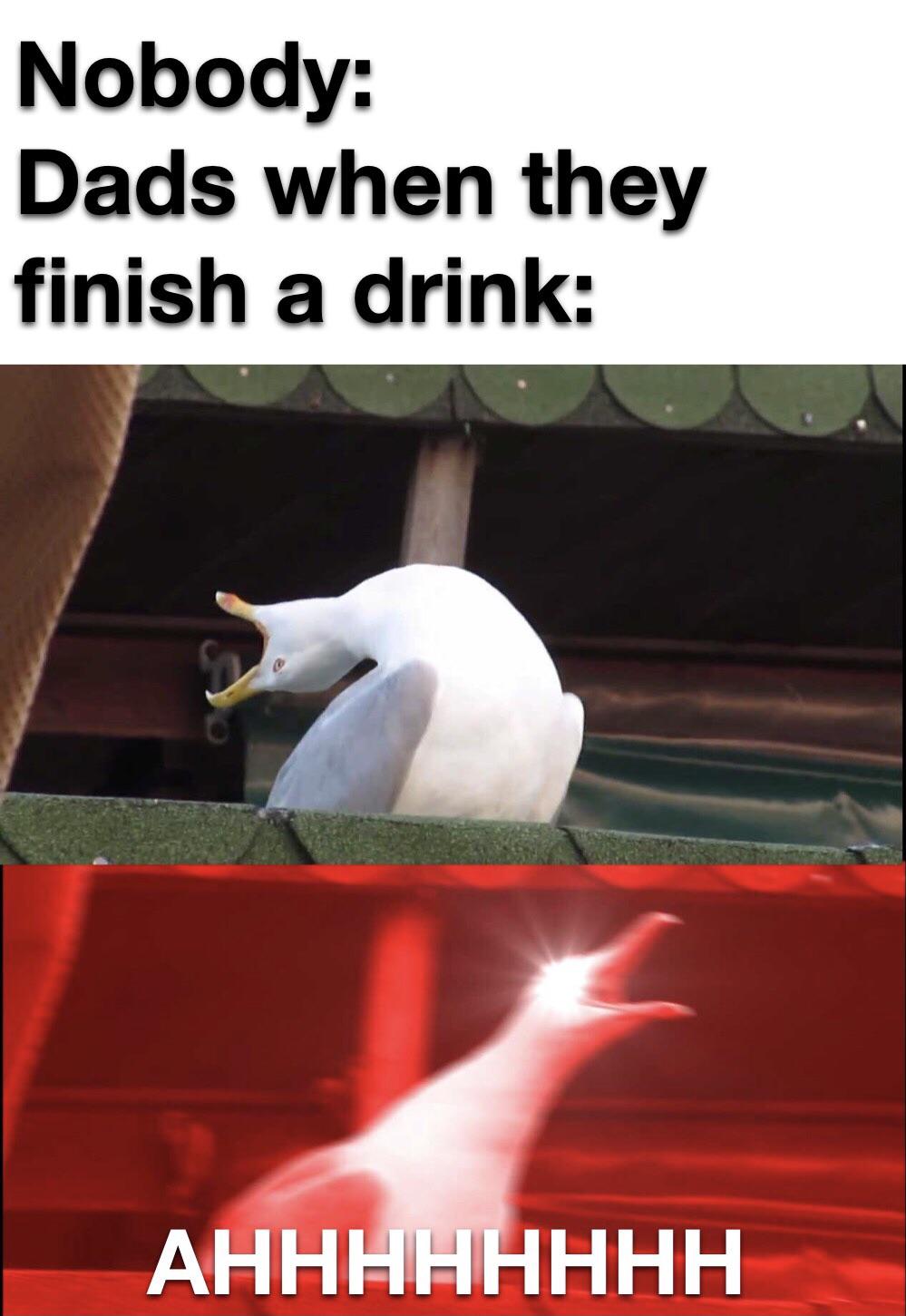 duck inhales meme - Nobody Dads when they finish a drink Ahhhhhhhh