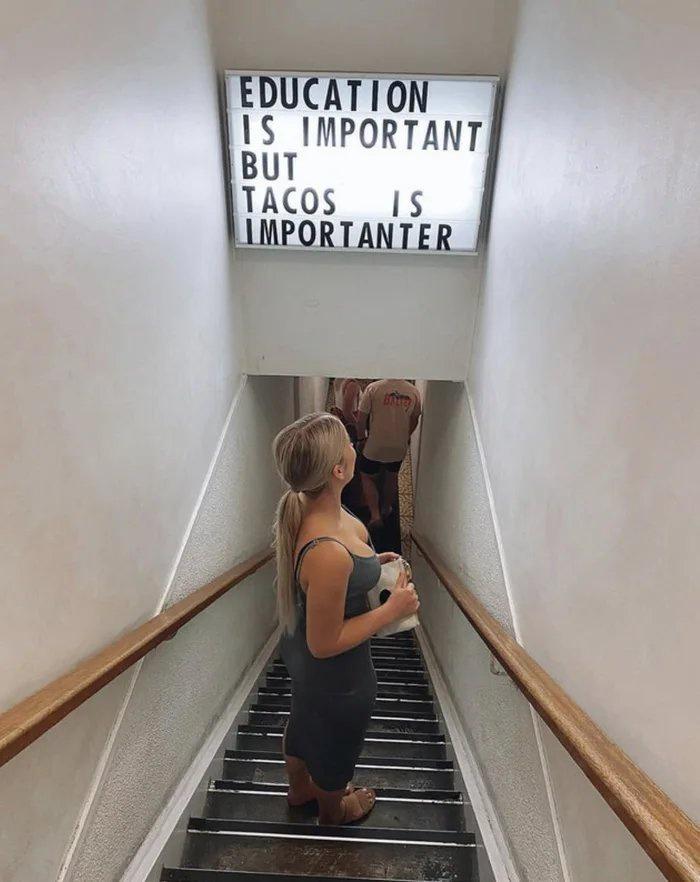 stairs - Education Is Important But Tacos Is Importanter
