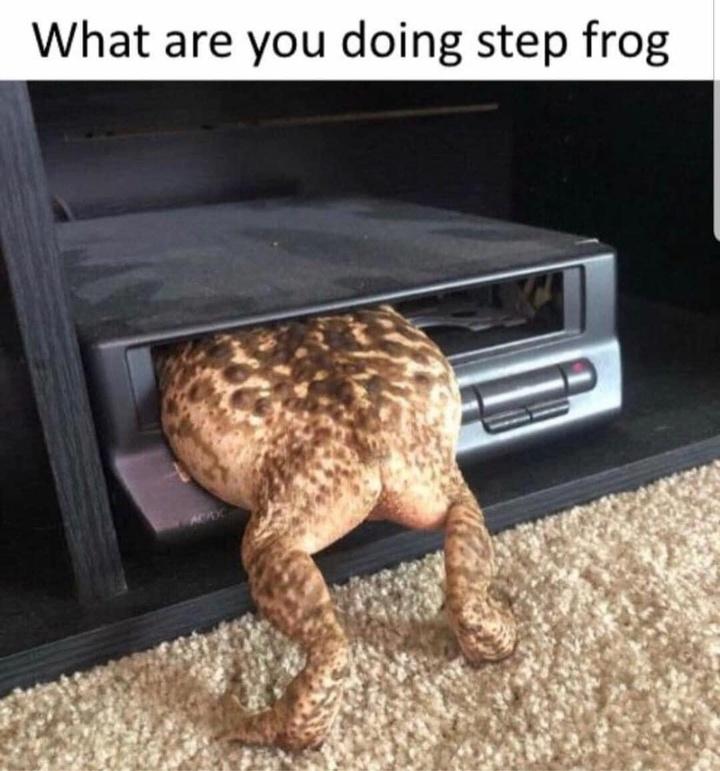 you doing step frog - What are you doing step frog