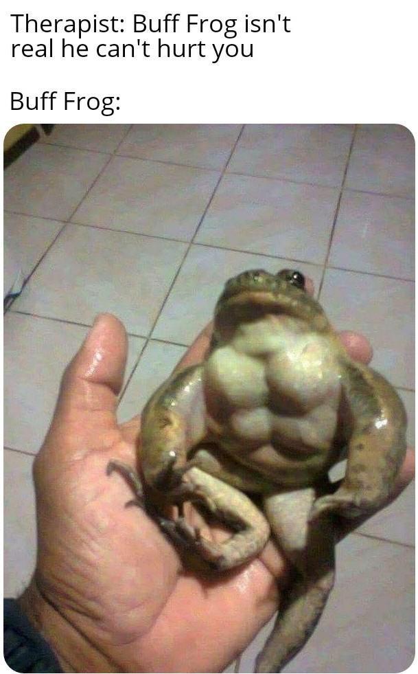 real frog meme - Therapist Buff Frog isn't real he can't hurt you Buff Frog