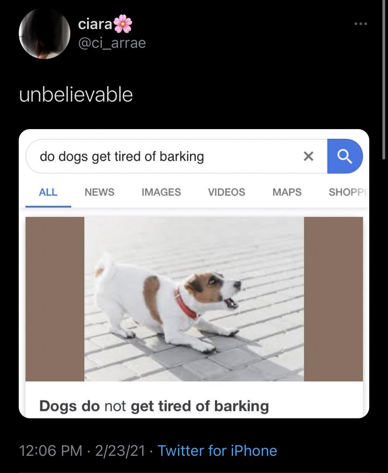 do dogs get tired of barking - o ciara unbelievable do dogs get tired of barking Q All News Images Videos Maps Shopp! Dogs do not get tired of barking 22321 Twitter for iPhone